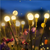 Christmas Hot Sale 🔥 Solar Powered Firefly Garden Light
